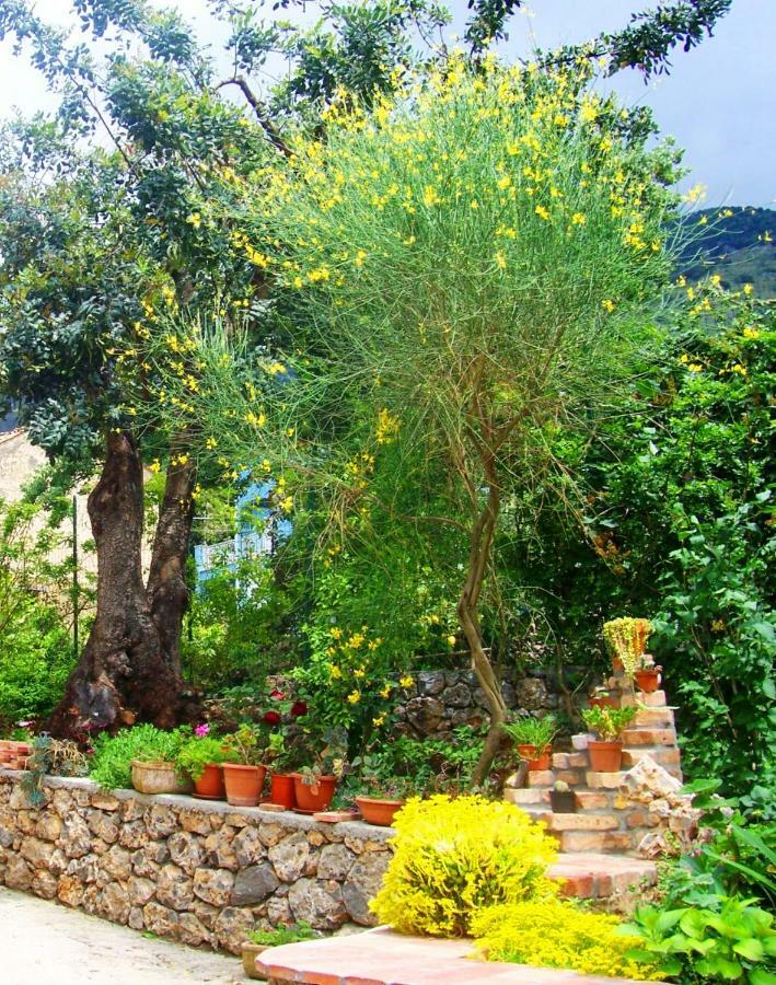B&B La Casa Del Gelso Acquafredda Exterior photo