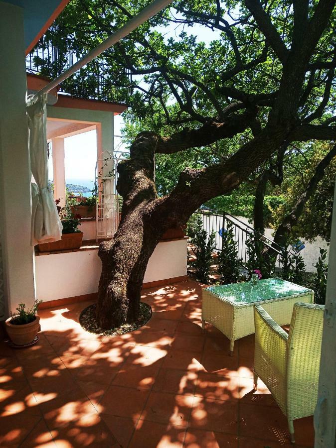 B&B La Casa Del Gelso Acquafredda Exterior photo